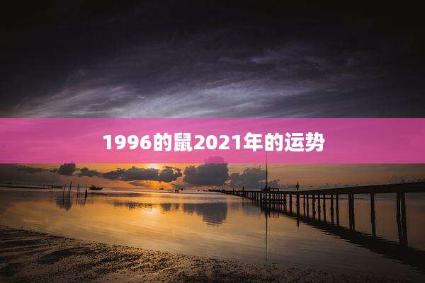 1996的鼠2021年的运势