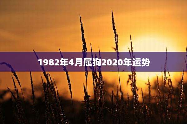 1982年4月属狗2020年运势