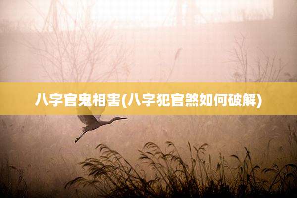 八字官鬼相害(八字犯官煞如何破解)