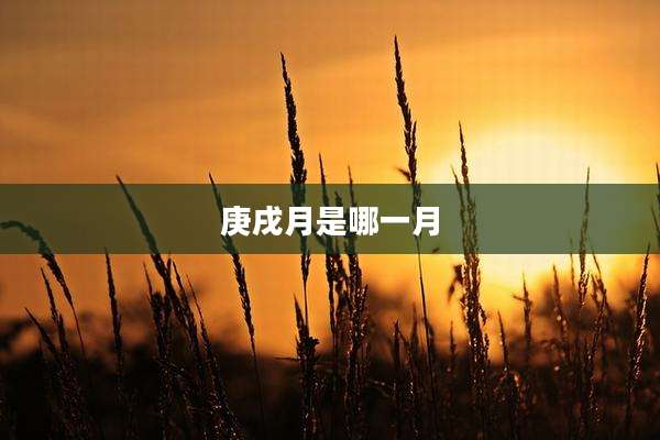 庚戌月是哪一月