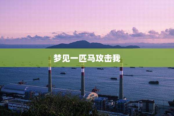 梦见一匹马攻击我