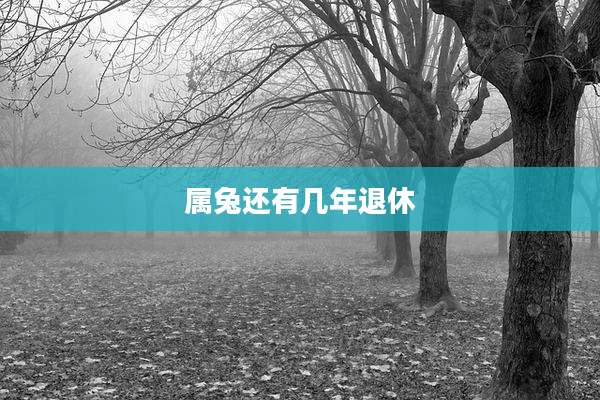 属兔还有几年退休