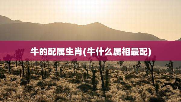牛的配属生肖(牛什么属相最配)