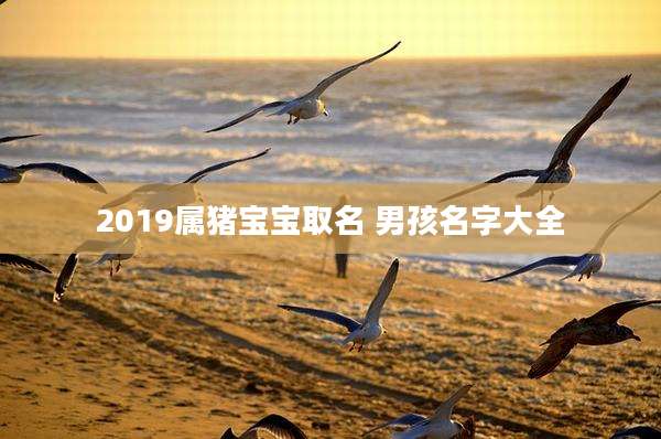 2019属猪宝宝取名 男孩名字大全
