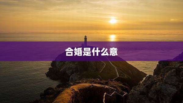 合婚是什么意