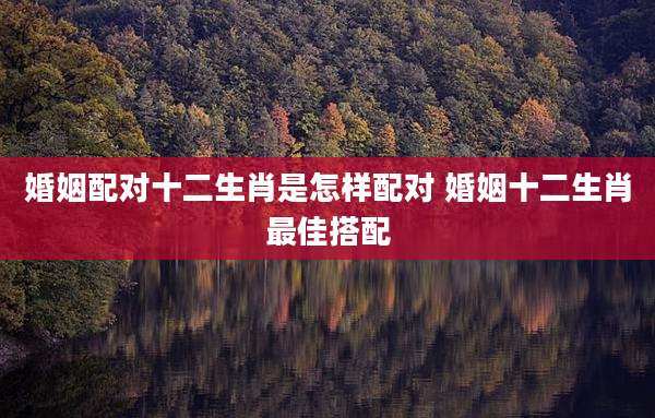 婚姻配对十二生肖是怎样配对 婚姻十二生肖最佳搭配