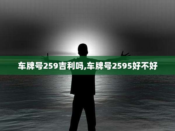 车牌号259吉利吗,车牌号2595好不好