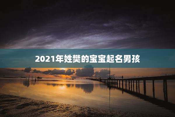 2021年姓樊的宝宝起名男孩