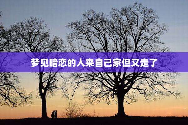梦见暗恋的人来自己家但又走了