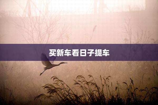 买新车看日子提车