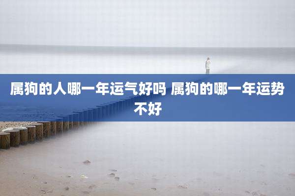 属狗的人哪一年运气好吗 属狗的哪一年运势不好