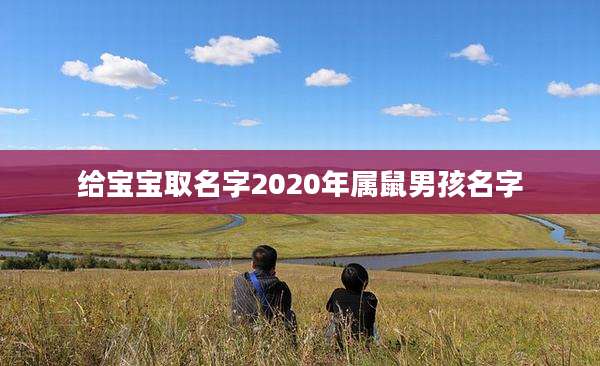 给宝宝取名字2020年属鼠男孩名字