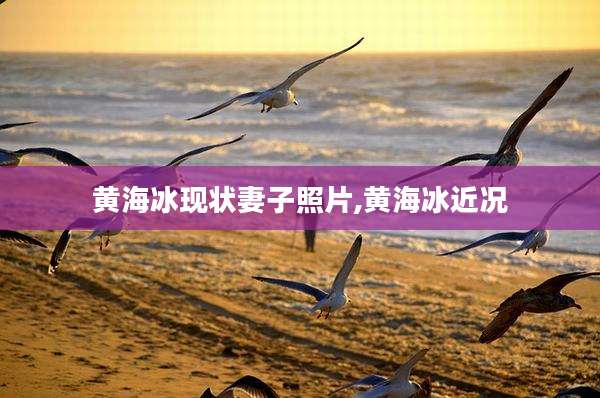 黄海冰现状妻子照片,黄海冰近况
