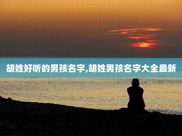 胡姓好听的男孩名字,胡姓男孩名字大全最新