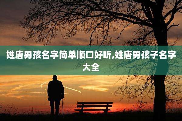 姓唐男孩名字简单顺口好听,姓唐男孩子名字大全