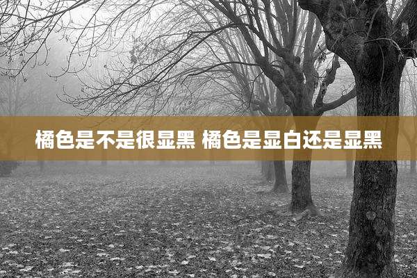橘色是不是很显黑 橘色是显白还是显黑