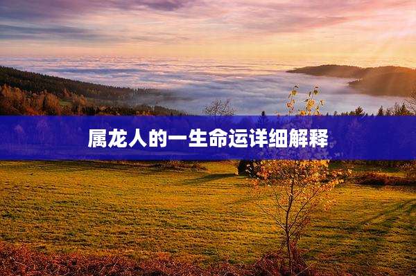 属龙人的一生命运详细解释