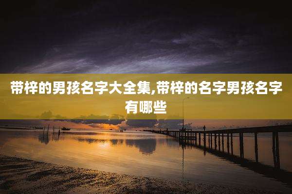 带梓的男孩名字大全集,带梓的名字男孩名字有哪些