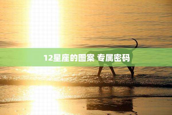 12星座的图案 专属密码