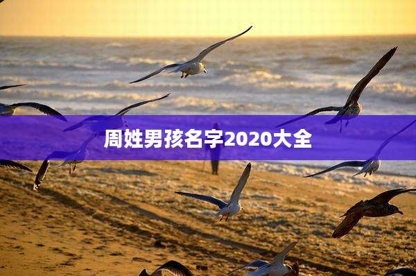周姓男孩名字2020大全