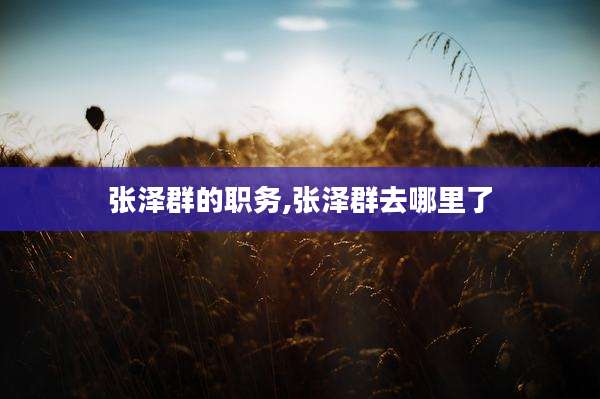 张泽群的职务,张泽群去哪里了