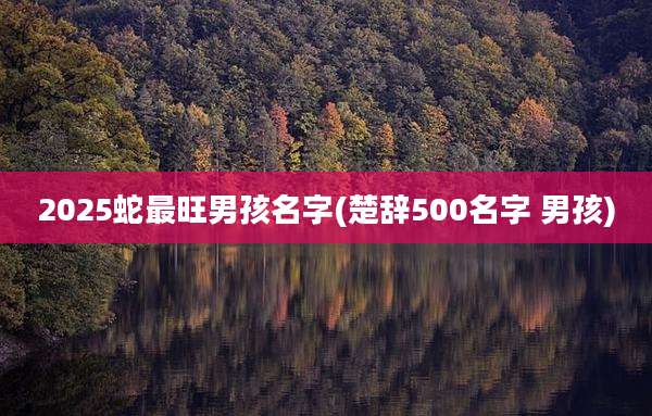 2025蛇最旺男孩名字(楚辞500名字 男孩)