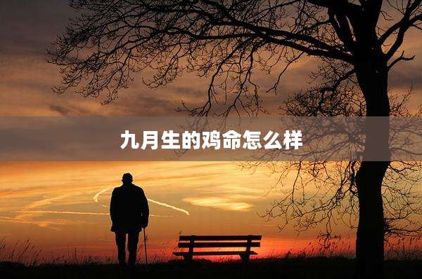 九月生的鸡命怎么样