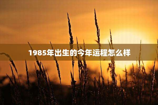 1985年出生的今年运程怎么样