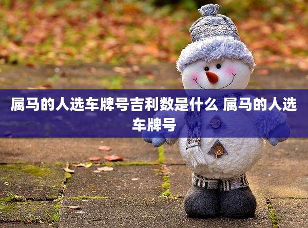 属马的人选车牌号吉利数是什么 属马的人选车牌号
