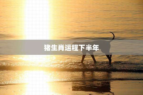 猪生肖运程下半年