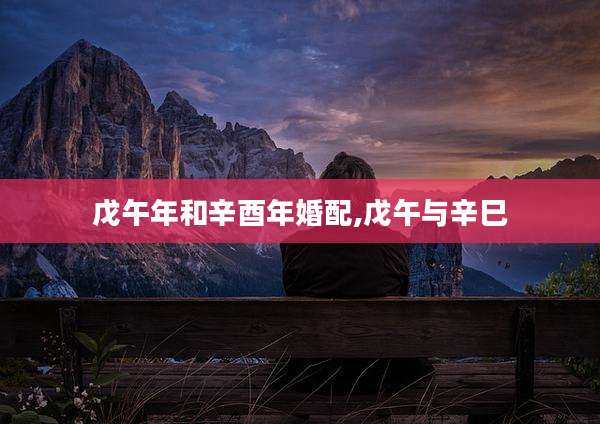 戊午年和辛酉年婚配,戊午与辛巳
