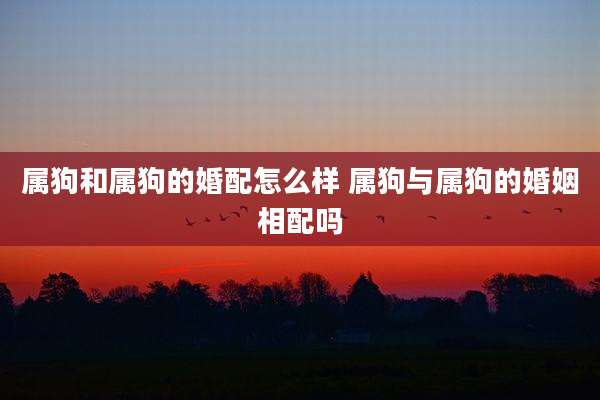 属狗和属狗的婚配怎么样 属狗与属狗的婚姻相配吗