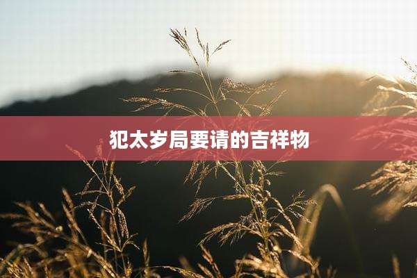 犯太岁局要请的吉祥物