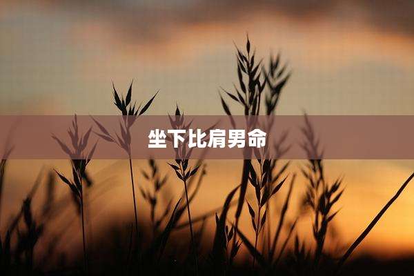 坐下比肩男命
