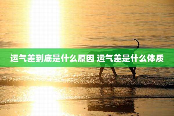 运气差到底是什么原因 运气差是什么体质