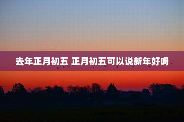 去年正月初五 正月初五可以说新年好吗