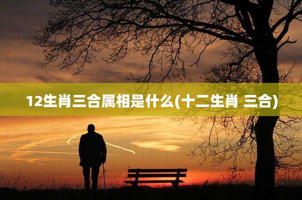 12生肖三合属相是什么(十二生肖 三合)