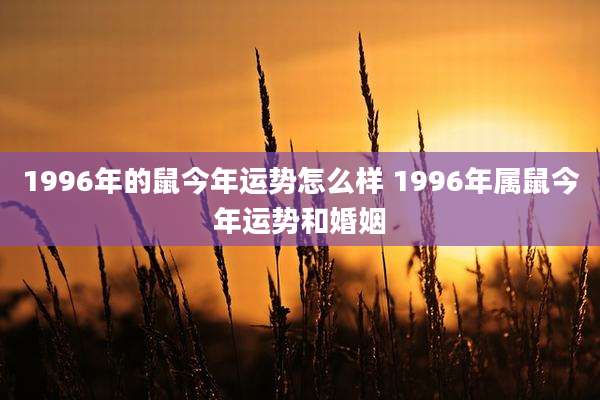 1996年的鼠今年运势怎么样 1996年属鼠今年运势和婚姻