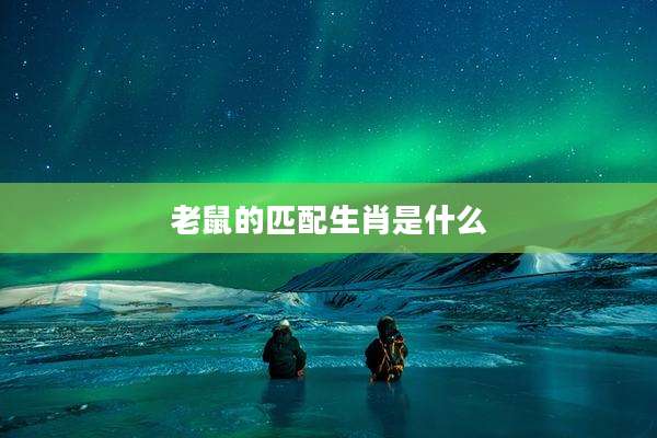 老鼠的匹配生肖是什么