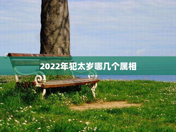 2022年犯太岁哪几个属相