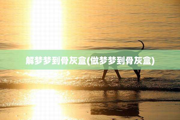 解梦梦到骨灰盒(做梦梦到骨灰盒)