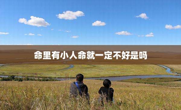 命里有小人命就一定不好是吗