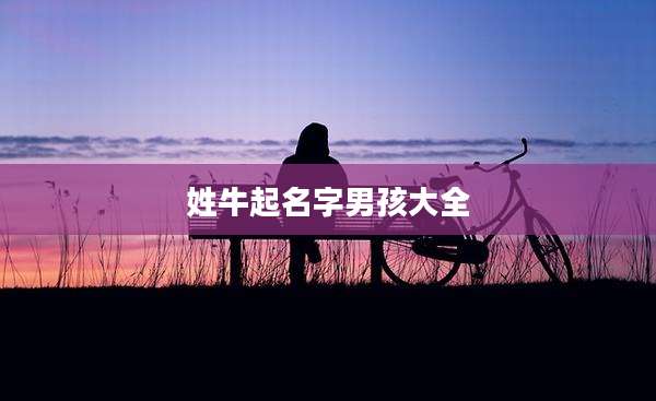 姓牛起名字男孩大全