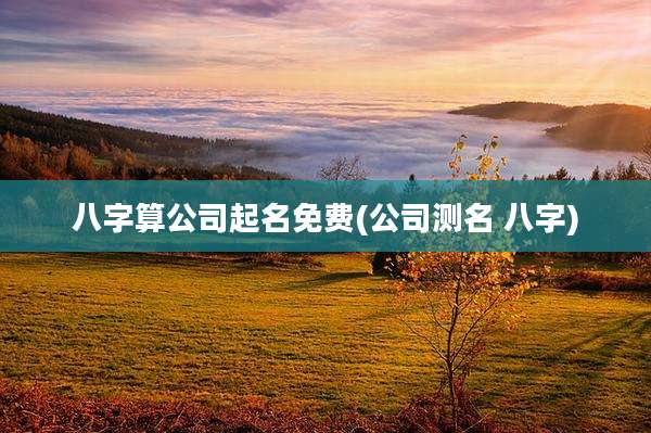 八字算公司起名免费(公司测名 八字)