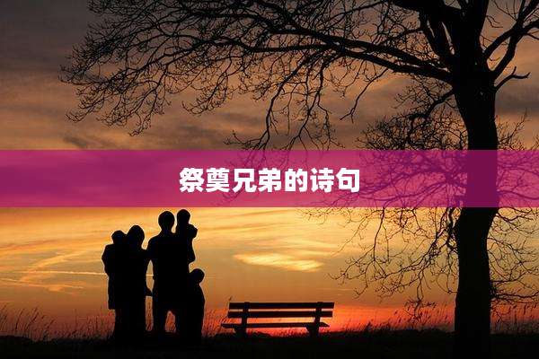 祭奠兄弟的诗句