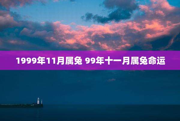 1999年11月属兔 99年十一月属兔命运
