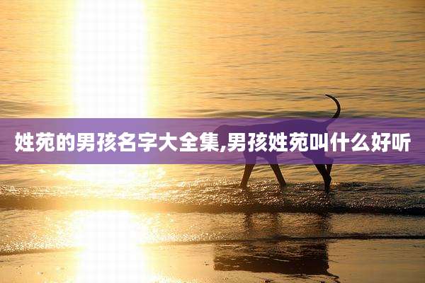 姓苑的男孩名字大全集,男孩姓苑叫什么好听