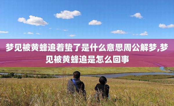 梦见被黄蜂追着蛰了是什么意思周公解梦,梦见被黄蜂追是怎么回事
