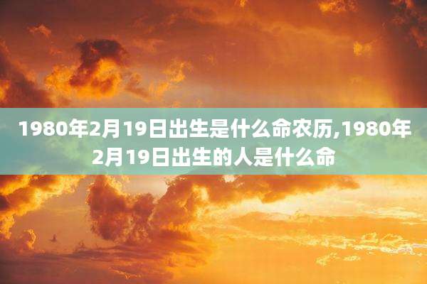 1980年2月19日出生是什么命农历,1980年2月19日出生的人是什么命