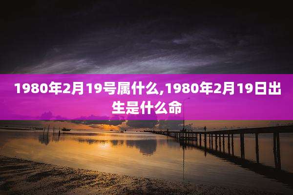 1980年2月19号属什么,1980年2月19日出生是什么命
